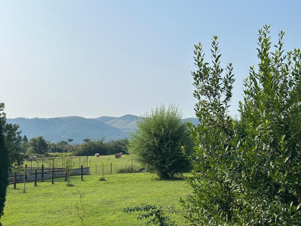 Casa Mala' Ξενοδοχείο Ceprano Εξωτερικό φωτογραφία